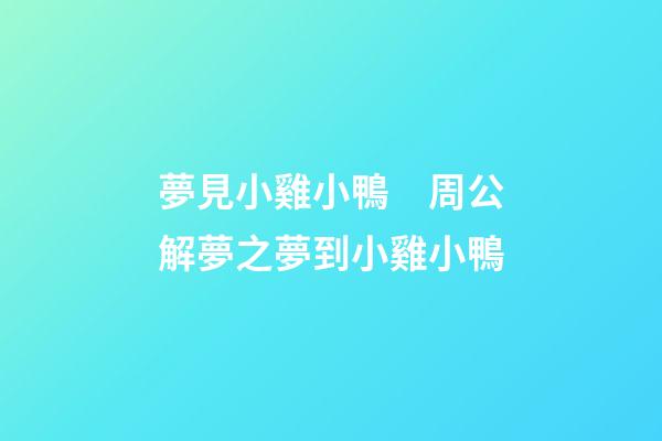夢見小雞小鴨　周公解夢之夢到小雞小鴨